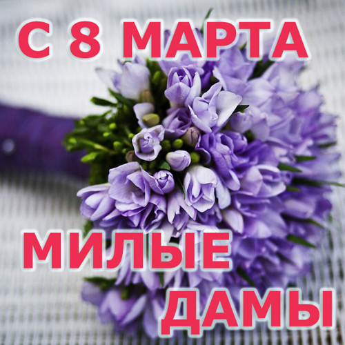 С праздником, милые дамы