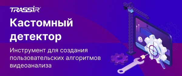 600x250 Кастомный детектор.png