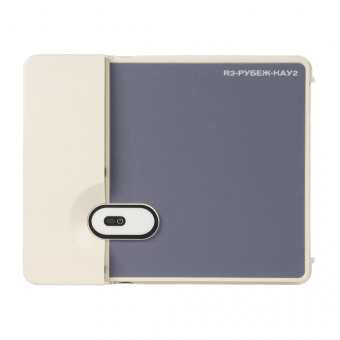 Модуль сопряжения, преобразователь интерфейса Рубеж R3-Рубеж-КАУ2