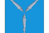 28 июля в Саратов состоится семинар DSSL «TRASSIR: Новые возможности»