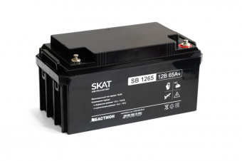 Аккумулятор «Бастион» Skat SB 1265
