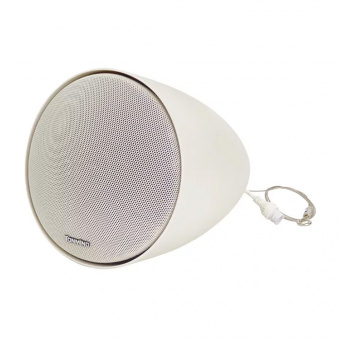 IP-подвесной громкоговоритель Tonmind SIP-S61T 