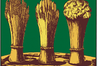 26 октября в г. Пенза состоится семинар «TRASSIR 3: новые решения для видеонаблюдения с поддержкой Cloud и Linux»