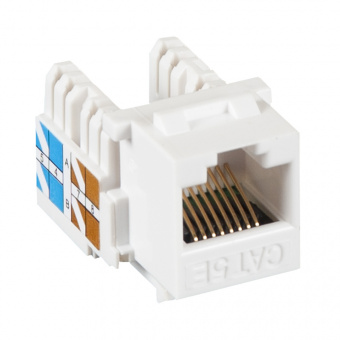 Модуль Netlan EC-UKJ-UD2-WT-10