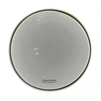 IP-подвесной громкоговоритель Tonmind SIP-S61T 