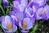 Изменения в графике работы DSSL на майских праздниках Изменения в графике работы DSSL на майских праздниках