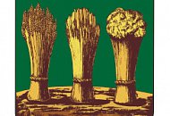 9 ноября в Пензе состоится совместный семинар «TRASSIR и Sigur»