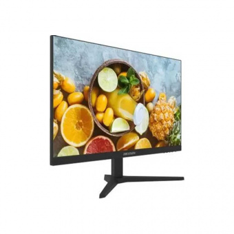 Монитор Hikvision DS-D5024FN10