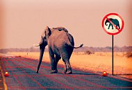 Возможности аппаратной аналитики Hikvision Возможности аппаратной аналитики Hikvision