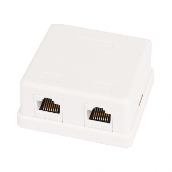Розетка Netlan EC-UWO-2-UD2-WT-10