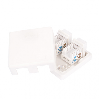 Розетка Netlan EC-UWO-2-UD2-WT-10