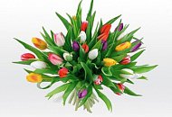 Самое весеннее поздравление! Самое весеннее поздравление!