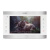 Видеодомофон SLINEX SL-10IPTHD Silver+White Видеодомофон SLINEX SL-10IPTHD Silver+White