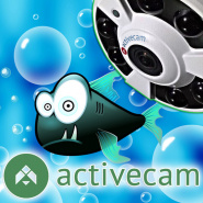 ActiveCam AC-D9141IR2 – FishEye-решение для любого типа освещения