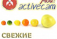 Свежие камеры «Мой ActiveCam» для интерьерных гурманов Свежие камеры «Мой ActiveCam» для интерьерных гурманов