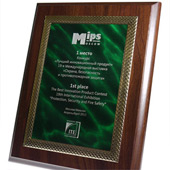 1-е место "MIPS 2013" на конкурсе "Лучший инновационный продукт"